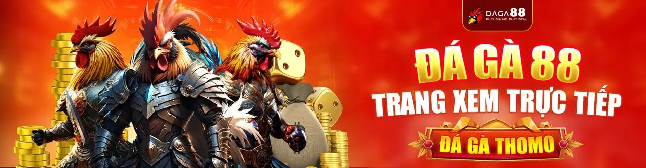 Đá gà trực tuyến sôi động trên nền tảng 8day8 code