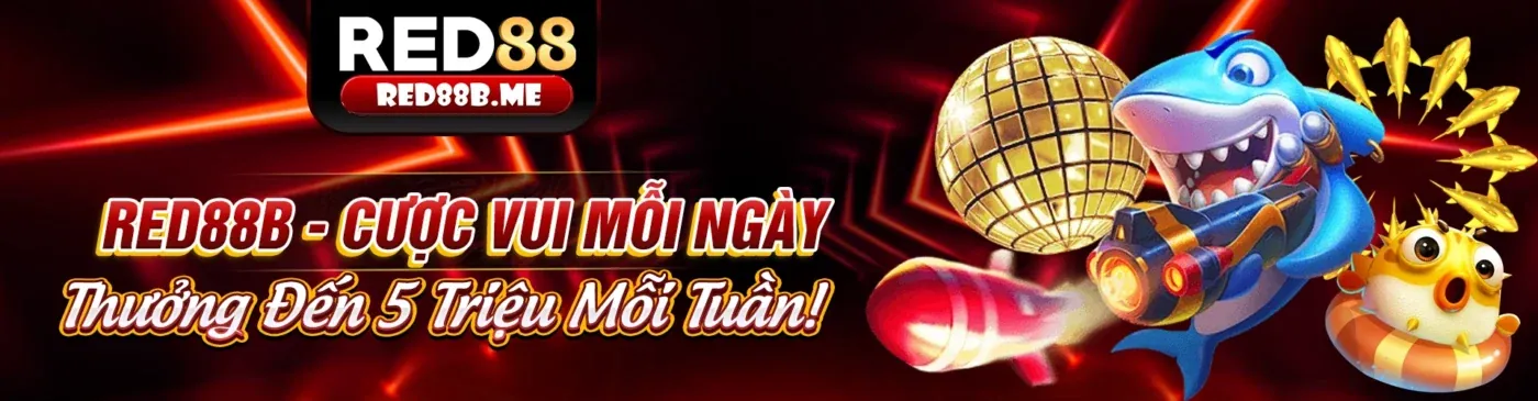 Đừng bỏ lỡ các chương trình khuyến mãi 8day8 code